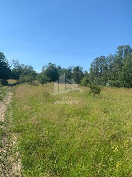 Teren in zona turistica Porumbacu de Sus, 4600 mp