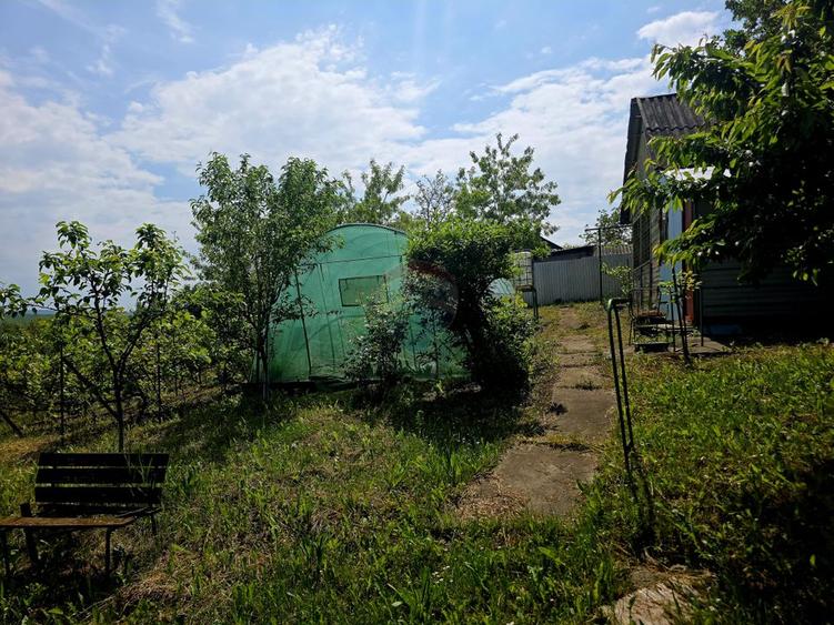 Teren intravilan 4,516mp Doina