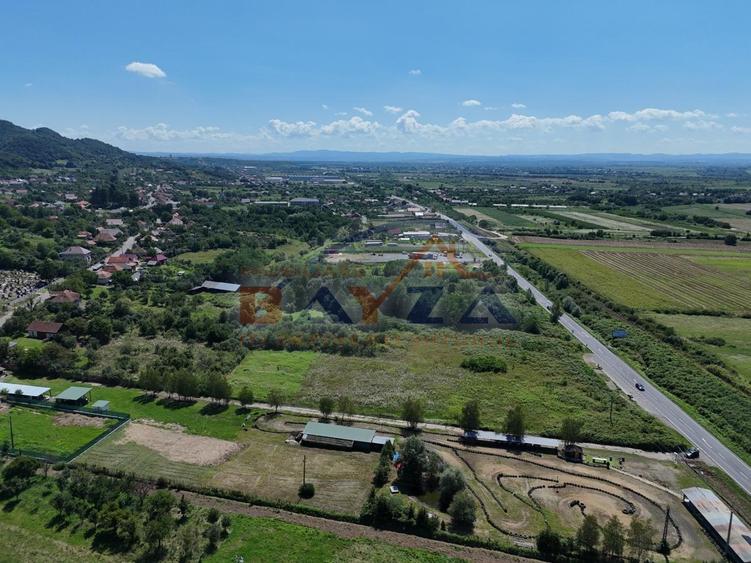 Teren intravilan 7352 mp, cu Deschidere 76.3 m la Șoseaua Națională - Cicârlău