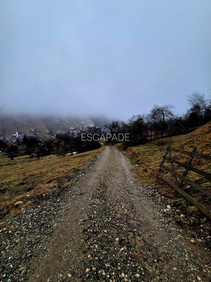 Teren intravilan Simon/Bran, 4318 mp , casuta intabulata, utilitati - 29