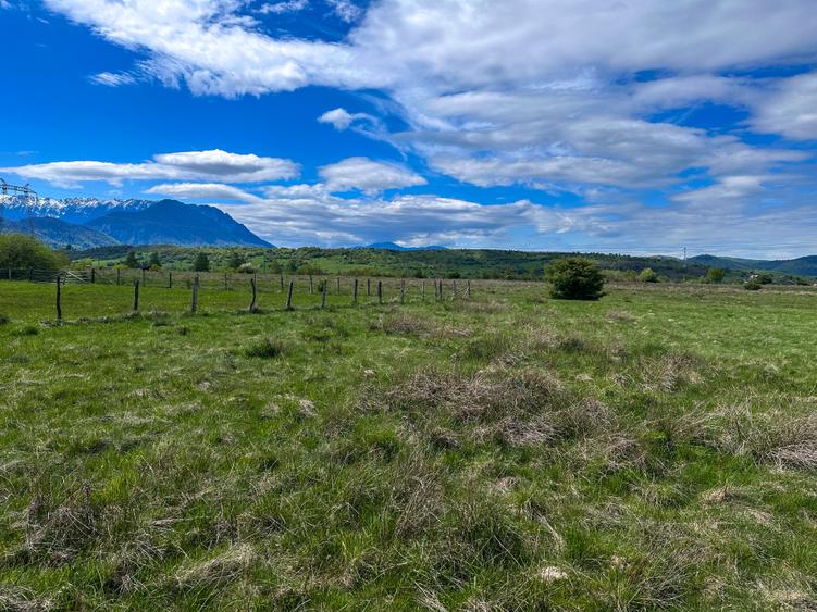 Teren Bran Zarnesti 3 km Castelul Bran 25 km Brasov