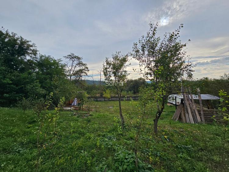 Teren 1000 mp cu tiny house, priveliste spre rau si padure- la 1h30 de Bucuresti - 11