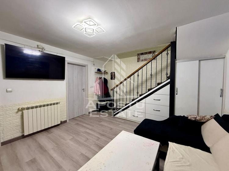 Doua apartamente la curte comuna separata, zona Timocului, Timisoata