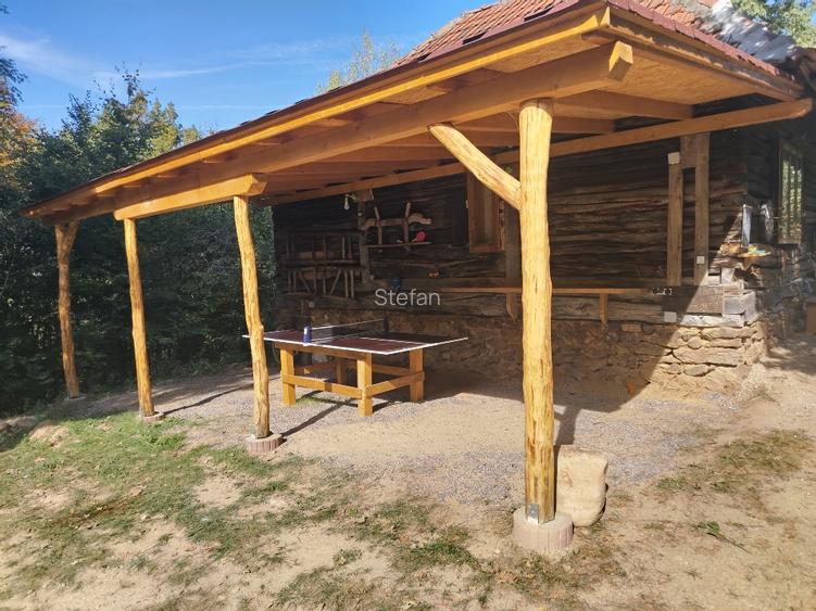 Poiană privată, pădure și cabană | Proprietate cu potențial turistic - 8