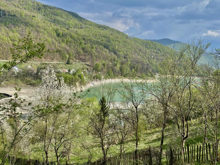 Teren plat cu deschidere la lacul Paltinu, acces facil, utilități - 8