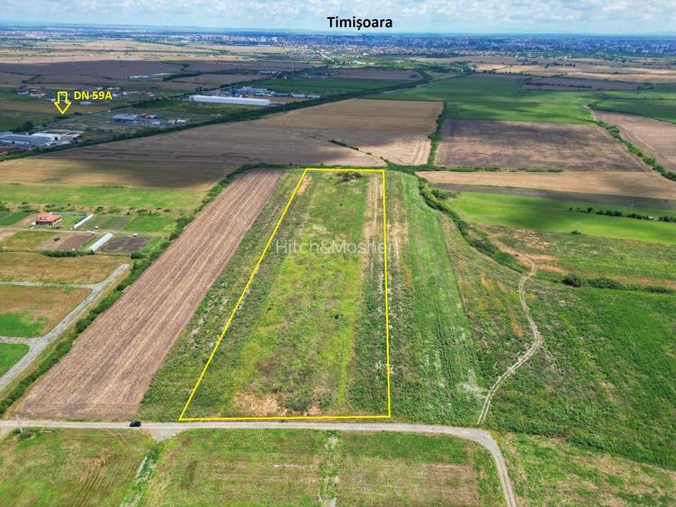 Teren Sacalaz 3,6 Ha - Pretabil PUZ Locuinte - 3