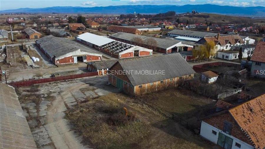 Ansamblu agrozootehnic cu renume,dotat +valoare exceptionala+potential versatil, - 32