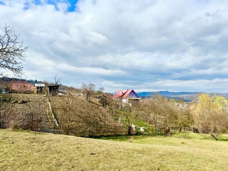 PROIECTUL TAU AICI / Poiana Campina / 8200 Mp/ Utilitati / Rasaritul Perfect
