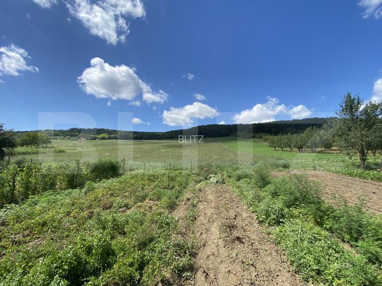 Teren intravilan in suparafat de 19213 mp, zona Valea Mitii - 5