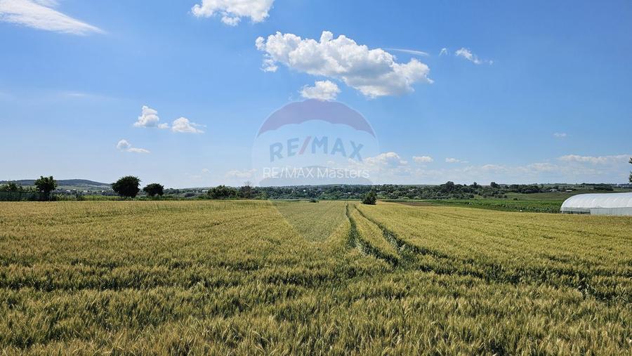 Teren 15,000mp Salcea-Prelipca, Suceava - 9