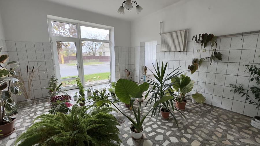 Casă 7 camere cu Teren 4.620 mp | Potențial pentru rezidență sau afacere | Carei