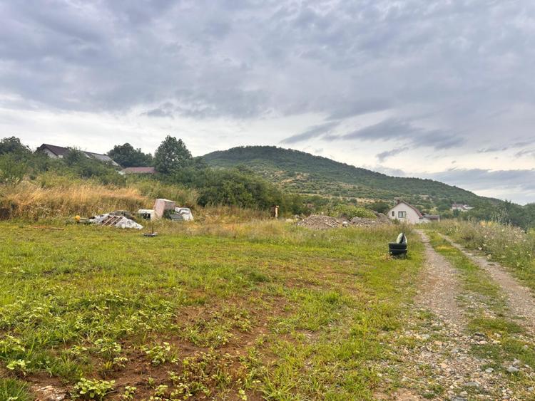 Teren intravilan cu utilități, 550 mp, în Viișoara