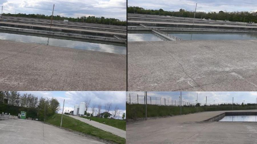 FERMA PISCICOLA ~ Vacaresti ~ Dâmbovița
