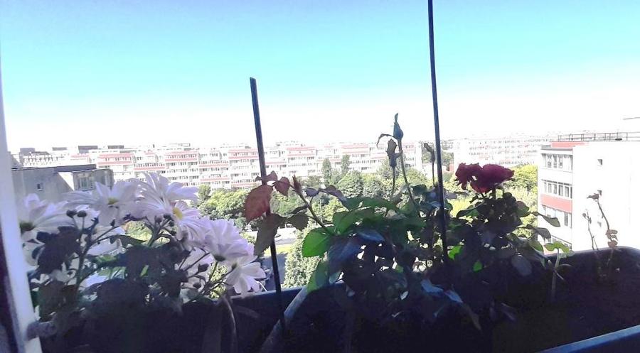  Apartament de 3 camere mobilat si complet utilat - 10