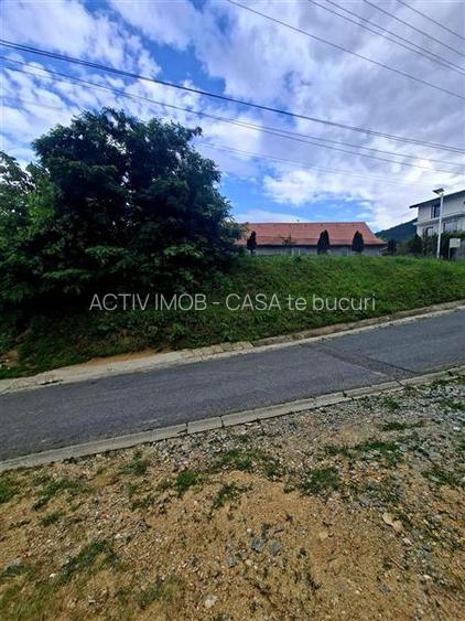 Teren intravilan de vanzare Saliste - 6