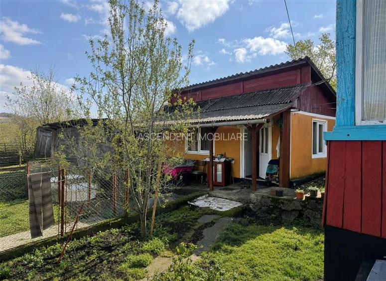 Tur 3D! Casa traditionala+ domeniu de 4.300 mp,livada,anexe:refugiu apreciabil C - 18