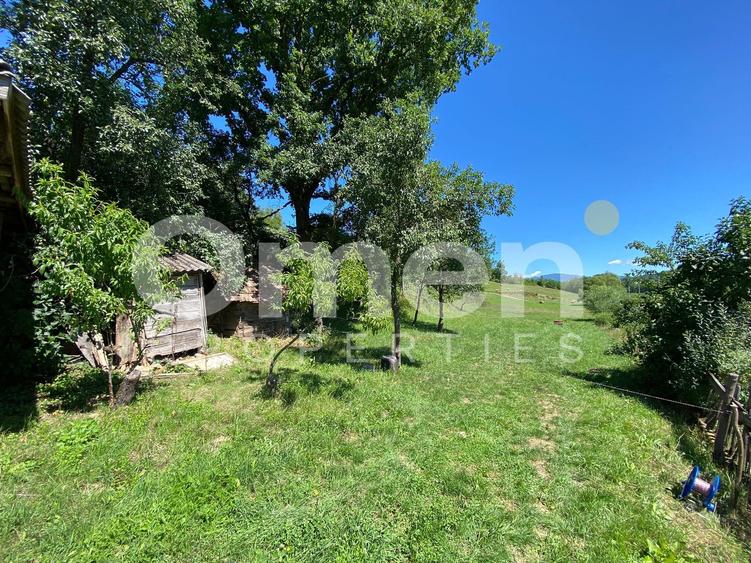 Casa de vanzare in Berinta de 50 mp cu anexa si 22 de ari teren