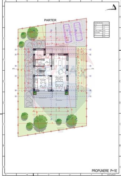 Vanzare casa Domnesti - 13