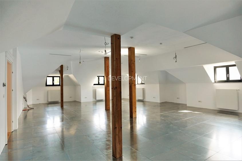 Vila Renovata - Birouri/ Clinica/ Showroom - Piata Romana - 10