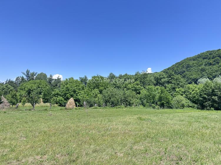 Investiție Turism | Casă | 5164 mp teren | Lac Propriu | Malu cu Flori - 19