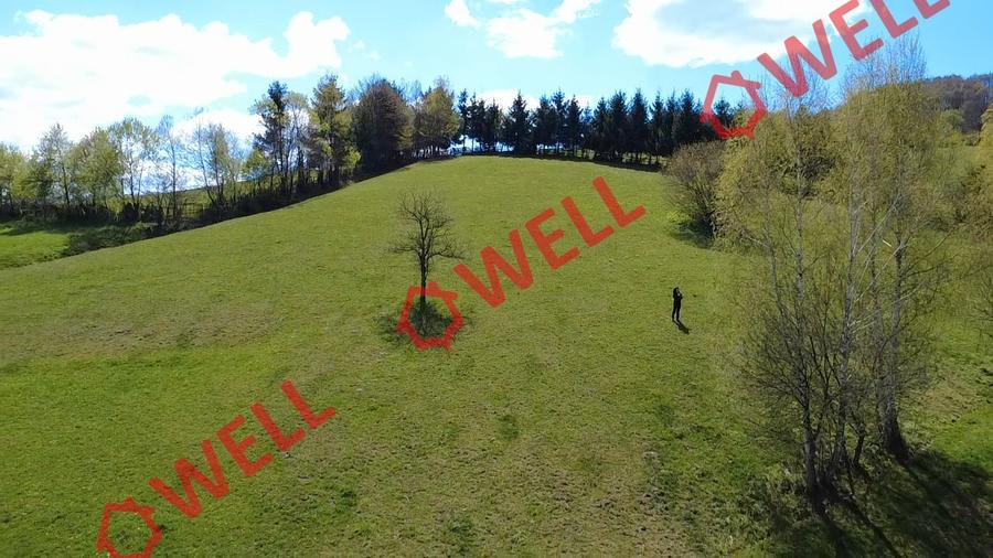 Două terenuri extravilane de vânzare în Sita Buzăului – Ciumernic!