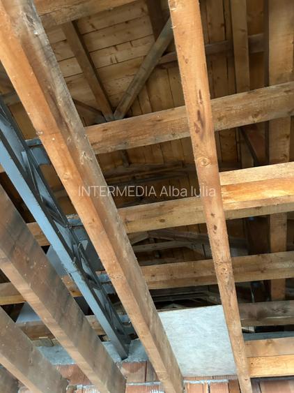 Casă individuală pe un singur nivel cu 743 mp. toate utilitatile Ciugud - 11