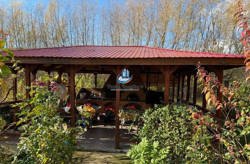 Casa 240 mp utili P+M, 9000 mp teren, Girov, Jud. Neamt - COMISION 0 la cumparat