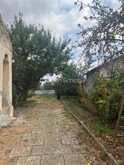 Vând casa bătrânească comuna Liebling - 4