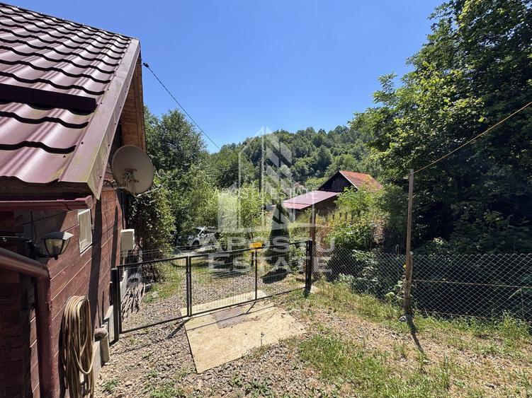 Casa din lemn, zona muntoasa, cu rau, la cheie, Ribita, Hunedoara - 42