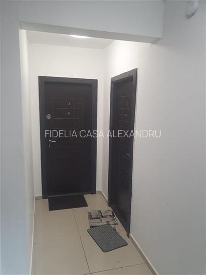 Vila  de vanzare  Copou, - 9