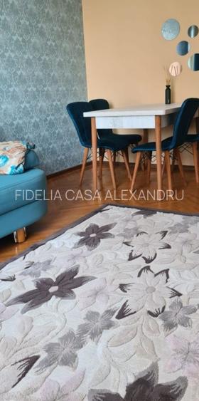 Apartament cu 2 camere Zona Nicolina