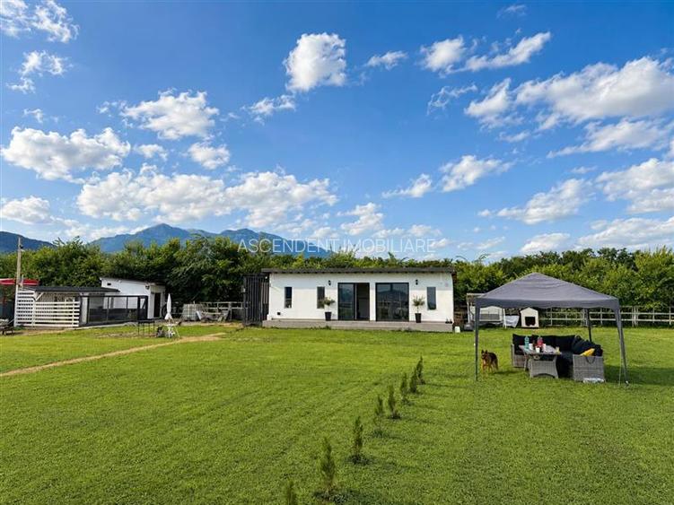 Cabana moderna, teren 1.640 mp, foisor, gratar, atmosfera de vacanta, Rasnov, Br - 10