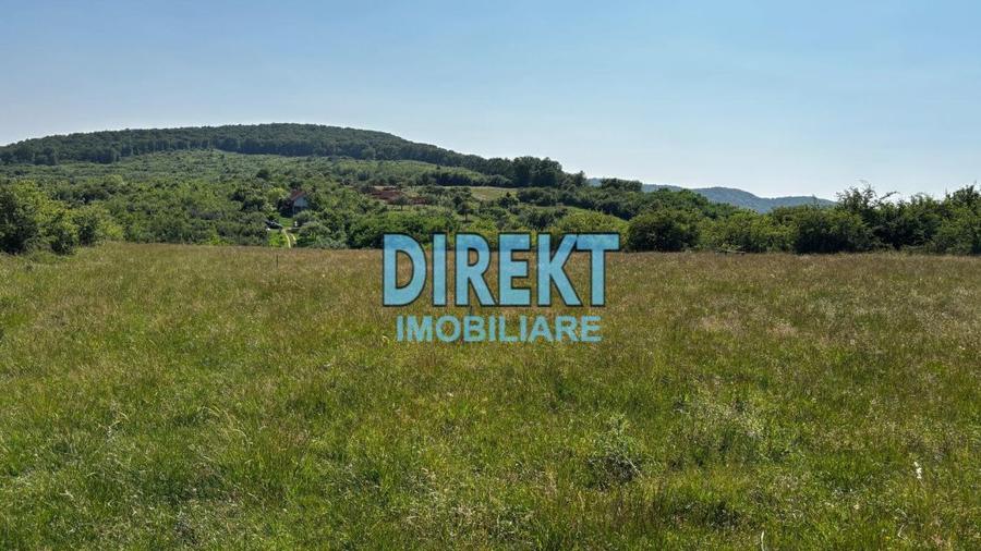 Teren Intravilan