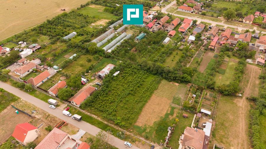 Teren 2400 mp - Tisa Nouă, comuna Fântânele