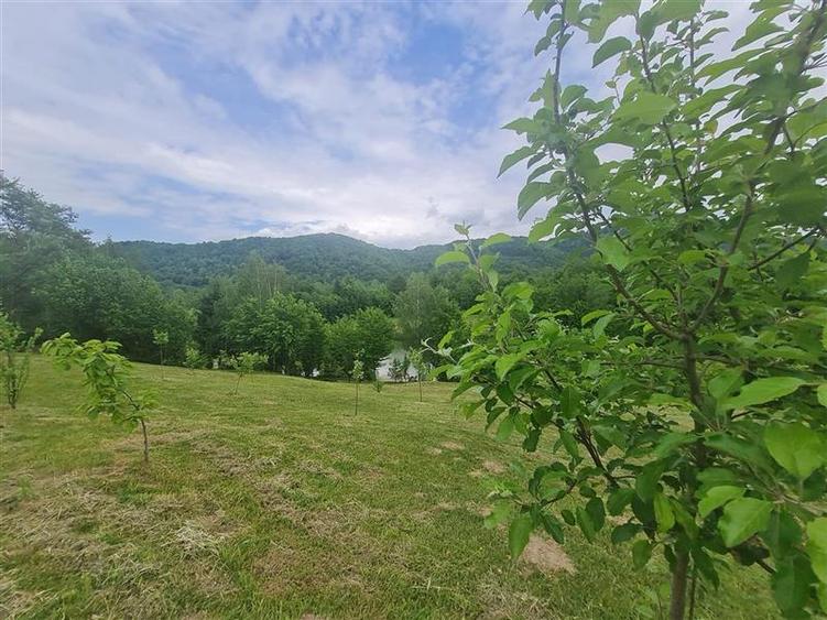 FILM! Oaza paradisiaca cu lac, vedere catre Bucegi, Glajerie/ Rasnov, pretabil C
