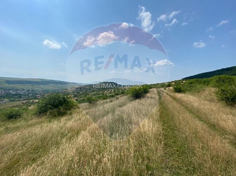 Teren Intravilan | Investitie | Baciu | Comision 0% - 5