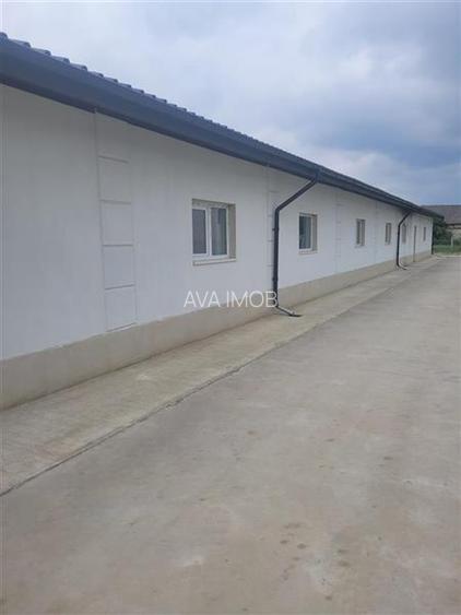 Hala de productie 370 mp renovata de inchiriat – Valea Seaca, la 10 minute de or - 5