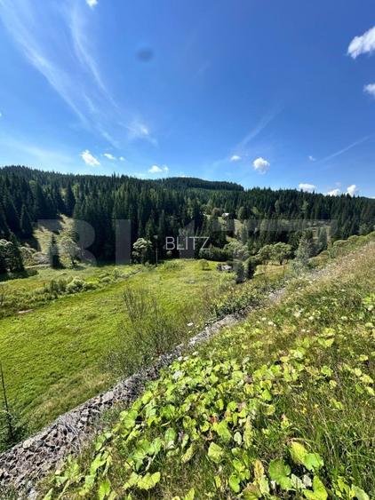Teren intravilan de vanzare, 6941 mp, zona Mestecăniș - 3