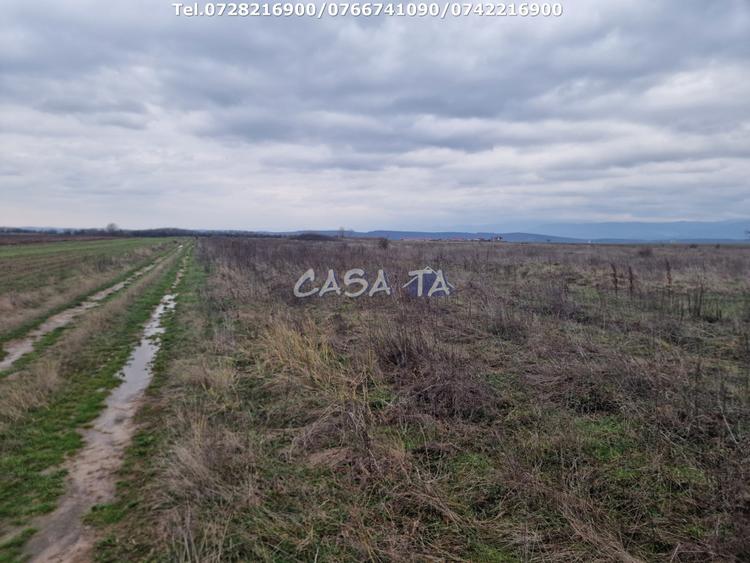 Teren Extravilan (5900 mp),situat in Targu-Jiu, Preajba-Dragoieni