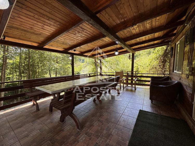 Casa din lemn, zona muntoasa, cu rau, la cheie, Ribita, Hunedoara
