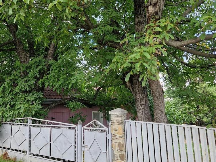 Casă 3 camere, Burdujeni