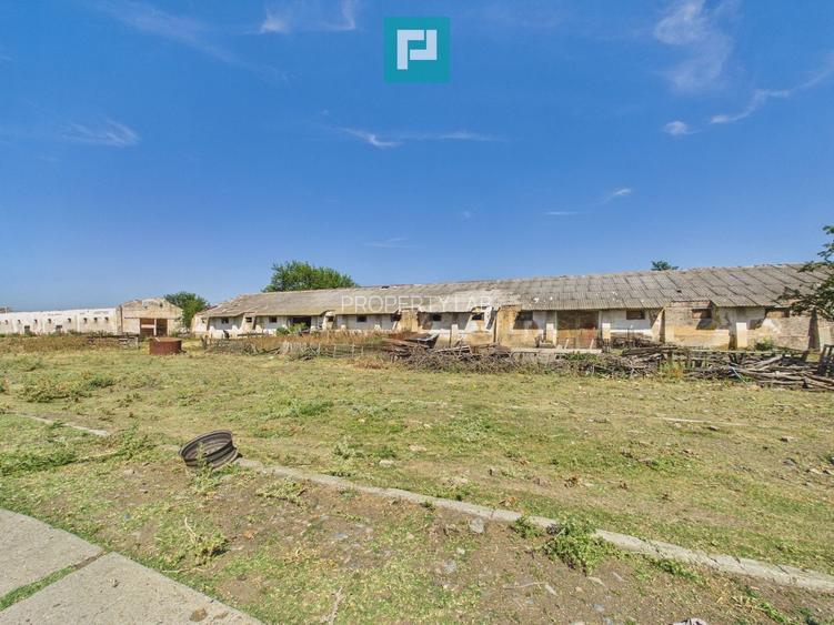 Teren intravilan 146.866 mp | Jimbolia - 10