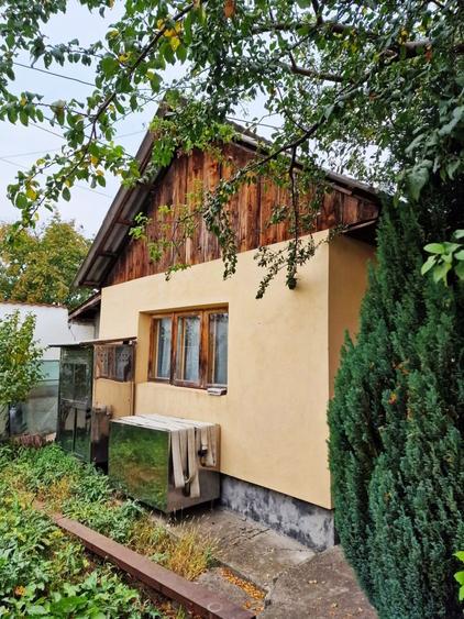 VIND VILA CU SPATIU INDUSTRIAL LOCUIT (pretabil la orice activitate) DASCALU IF