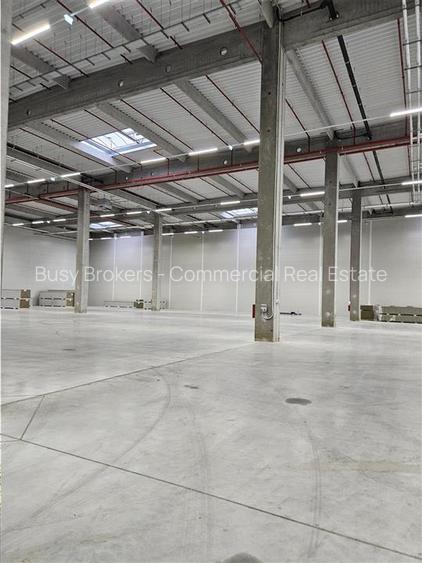 Spatiu Industrial - 4500 mp - Logistica - Productie - Depozitare - 12