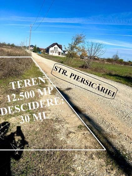 Teren Intravilan Periș – 12.500 mp - Direct Proprietar - Oportunitate Investiție - 6