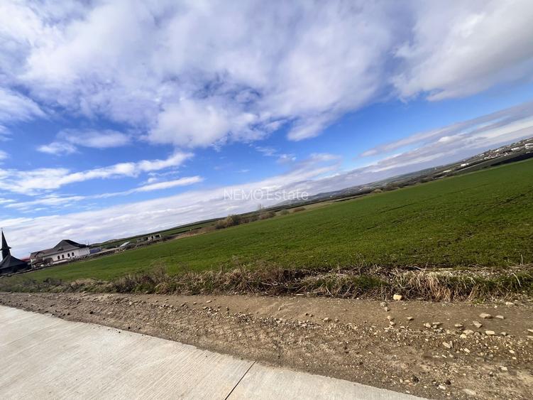 Teren de Vanzare 85 Ari I Suceava/Sf.Ecaterina I 345.000E - 2