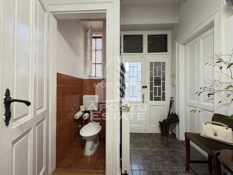 Apartament spatios, etaj intermediar, In Timisoara zona Iosefin - 10