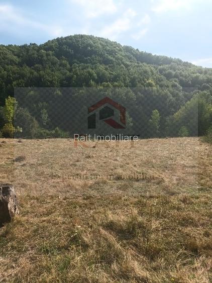 Teren extravilan de vânzare 11.740 mp Corbeni Turburea Argeș - 5