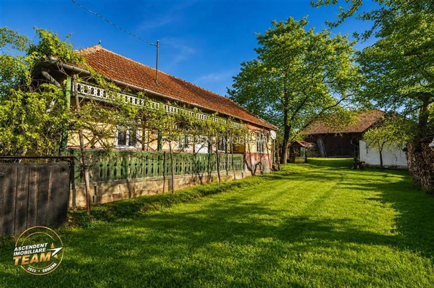FILM! Casa si anexe, pe domeniu de 6.221mp,  livada pomi fructiferi, Lemnia, Cov - 6