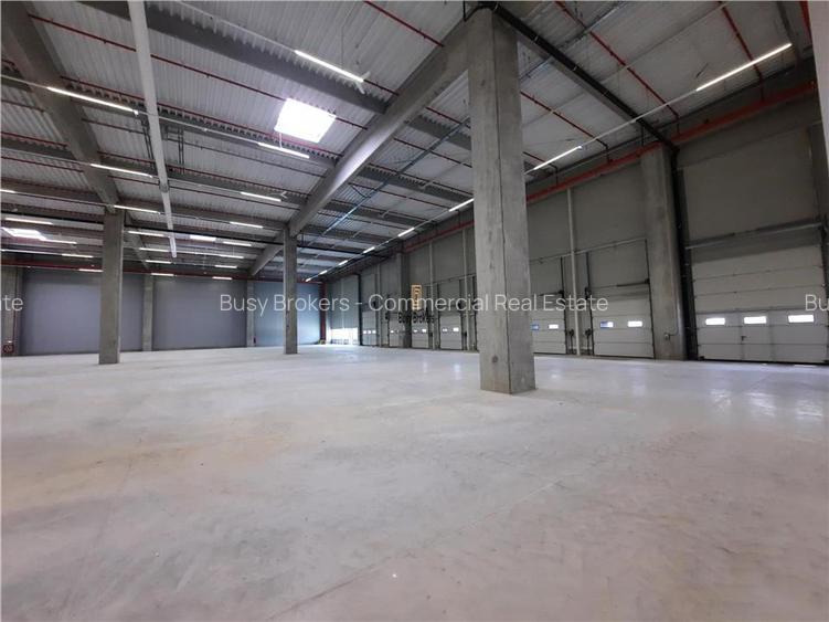 Spatiu Industrial - 5000 mp - Logistica - Productie - Depozitare - Distributie - 2